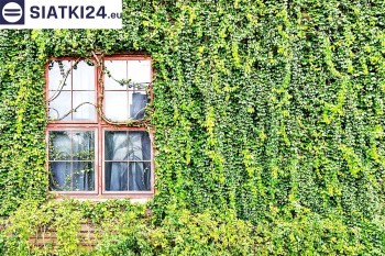 Siatki Andrychów - Siatka z dużym oczkiem - wsparcie dla roślin pnących na altance, domu i garażu dla terenów Andrychowa